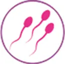IVF Center in Hisar Sonakshi Children Hospital & IVF Centre​ Best IVF Center IVF Hospital IVF Hospital Hisar