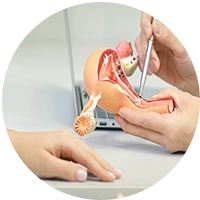Gynaecology in Hisar