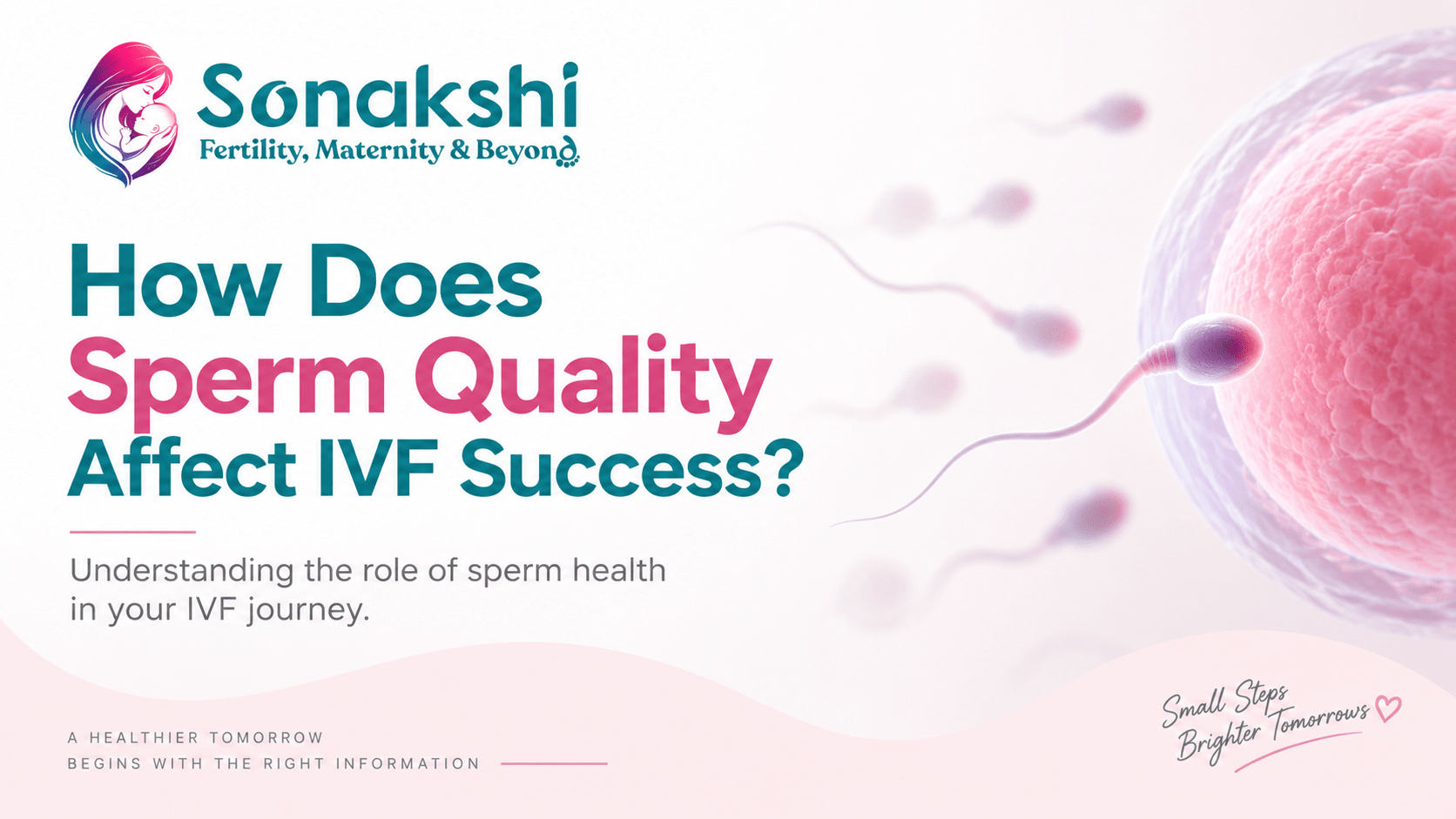 Sperm Quality and IVF Success